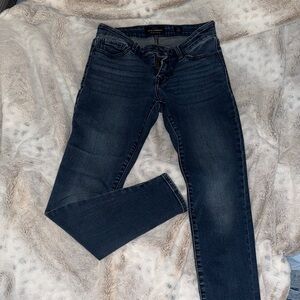 Lucky Brand Women's Indigo Skinny Jeans